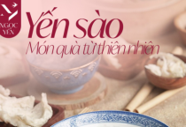 Yến Sào - Món quà từ thiên nhiên